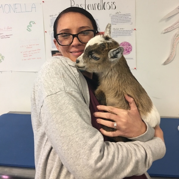 katie holding a goat katie holding a goat.