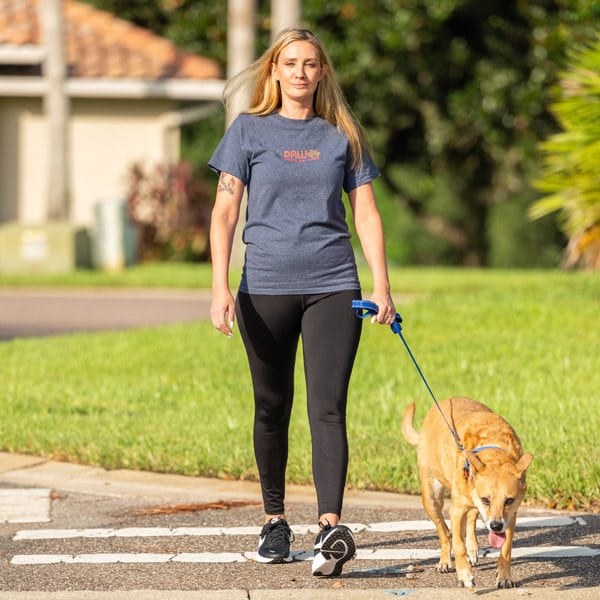 Dog walker Katie walking a dog in Orlando.